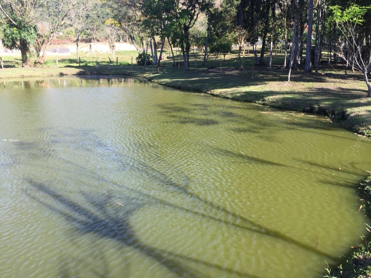 Chácara, 3 quartos, 2 hectares - Foto 5