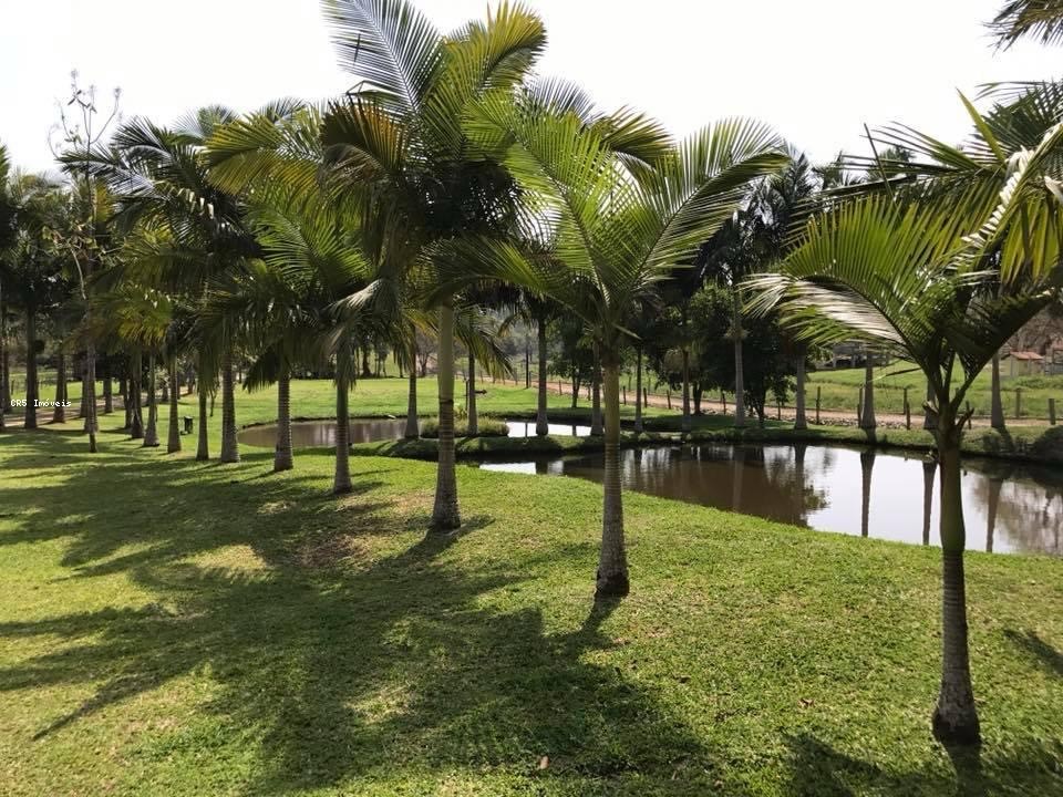 Chácara, 3 quartos, 2 hectares - Foto 11