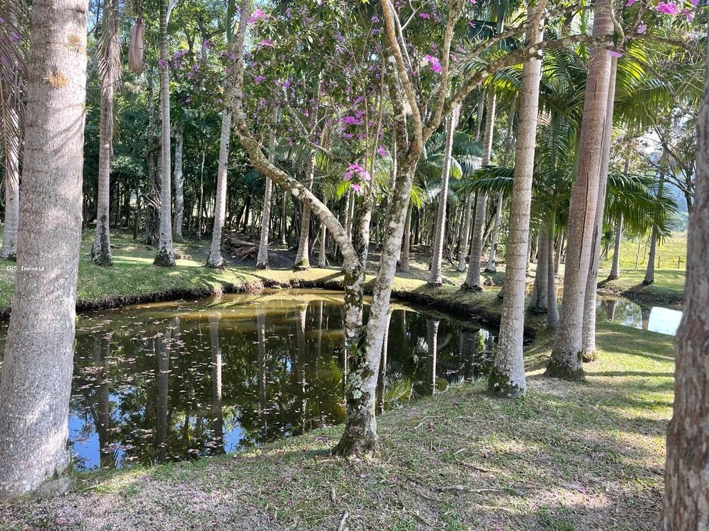 Chácara, 3 quartos, 2 hectares - Foto 14